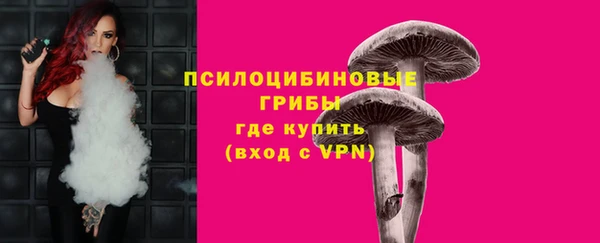 молекула духа Навашино