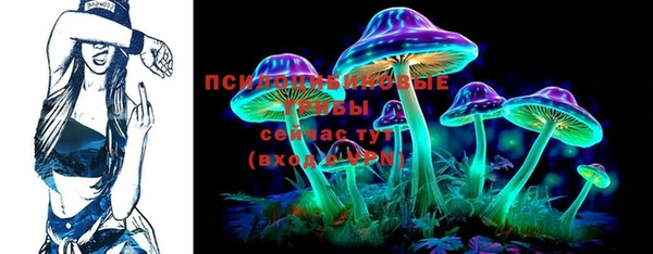 молекула духа Навашино