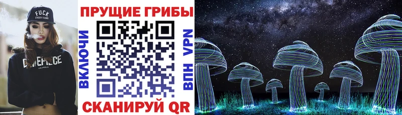 hydra рабочий сайт  Хадыженск  Галлюциногенные грибы Psilocybe  сколько стоит 